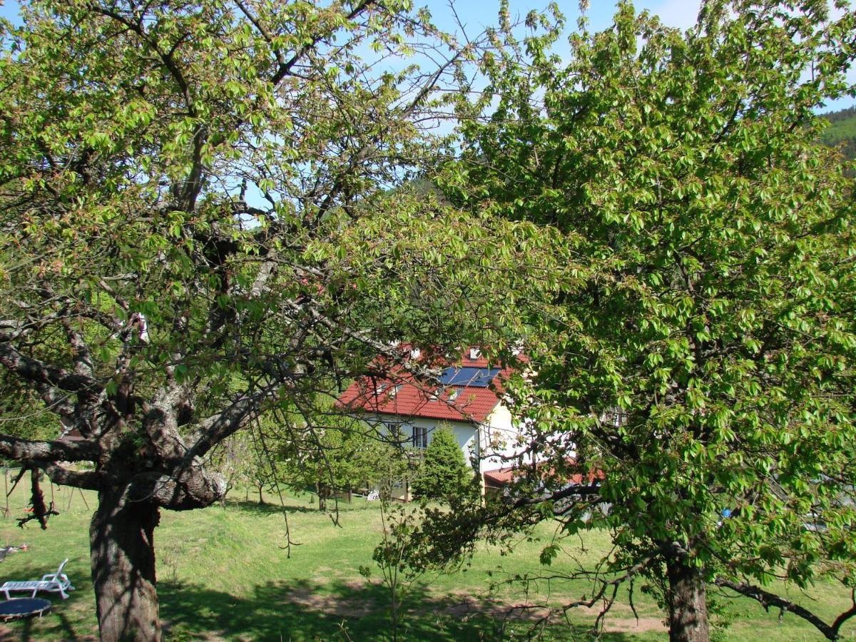 Agroturystyka Gluszyca Lomnica Lomnica  Exterior foto